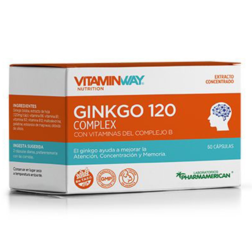 GINKGO 120 COMPLEX VITAMIN WAY - Estuche x 60 cápsulas AQ81